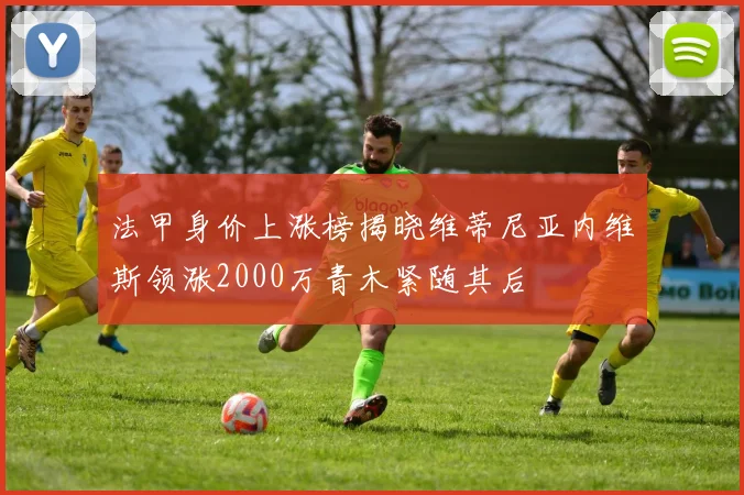 法甲身价上涨榜揭晓维蒂尼亚内维斯领涨2000万青木紧随其后