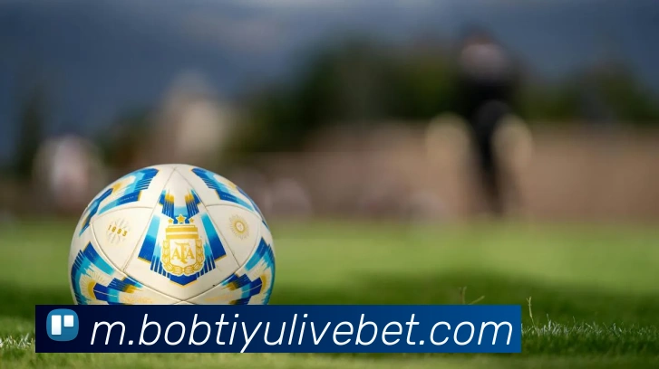 BOB体育APP 封面图